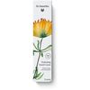 DR.HAUSCHKA Handcreme Frühjahr 2026